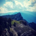 BETTONE SE NE FREGA…