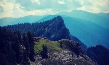 BETTONE SE NE FREGA…